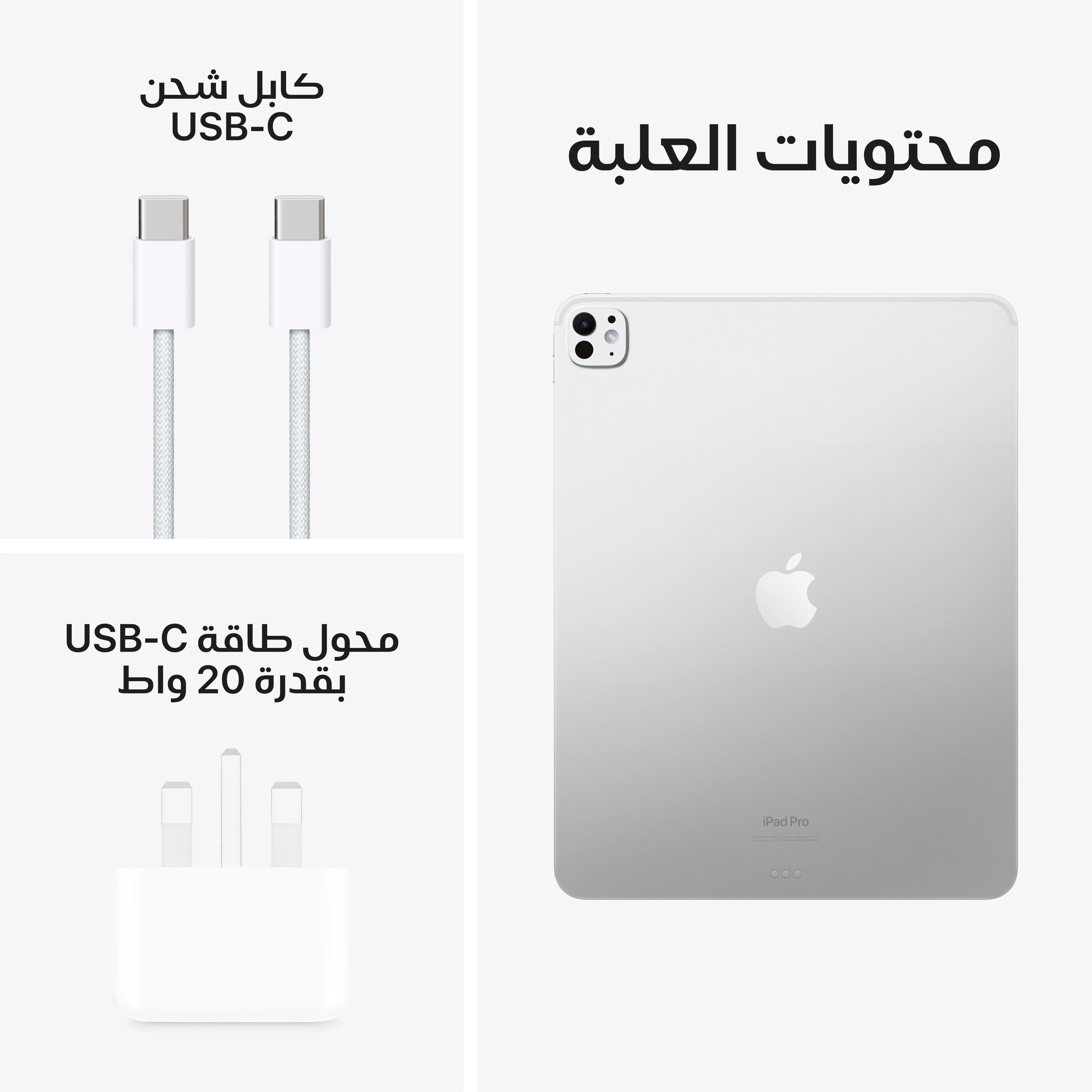 آيباد برو 13 بوصة واي فاي 1 تيرابايت زجاج نانو-تكستشر - فضي (M4) - Image 10