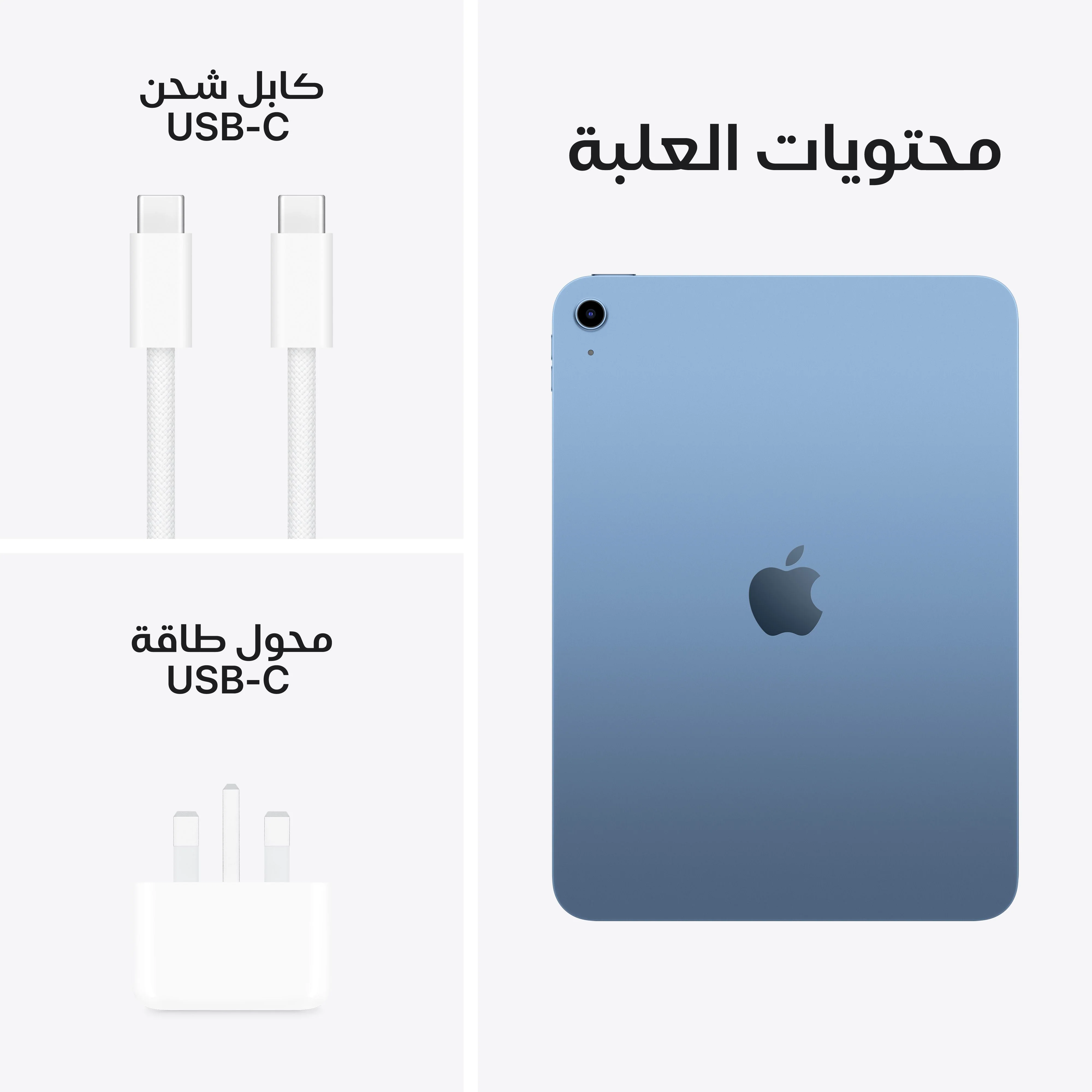 آيباد واي فاي 256 جيجابايت - أزرق (A16) - Image 8
