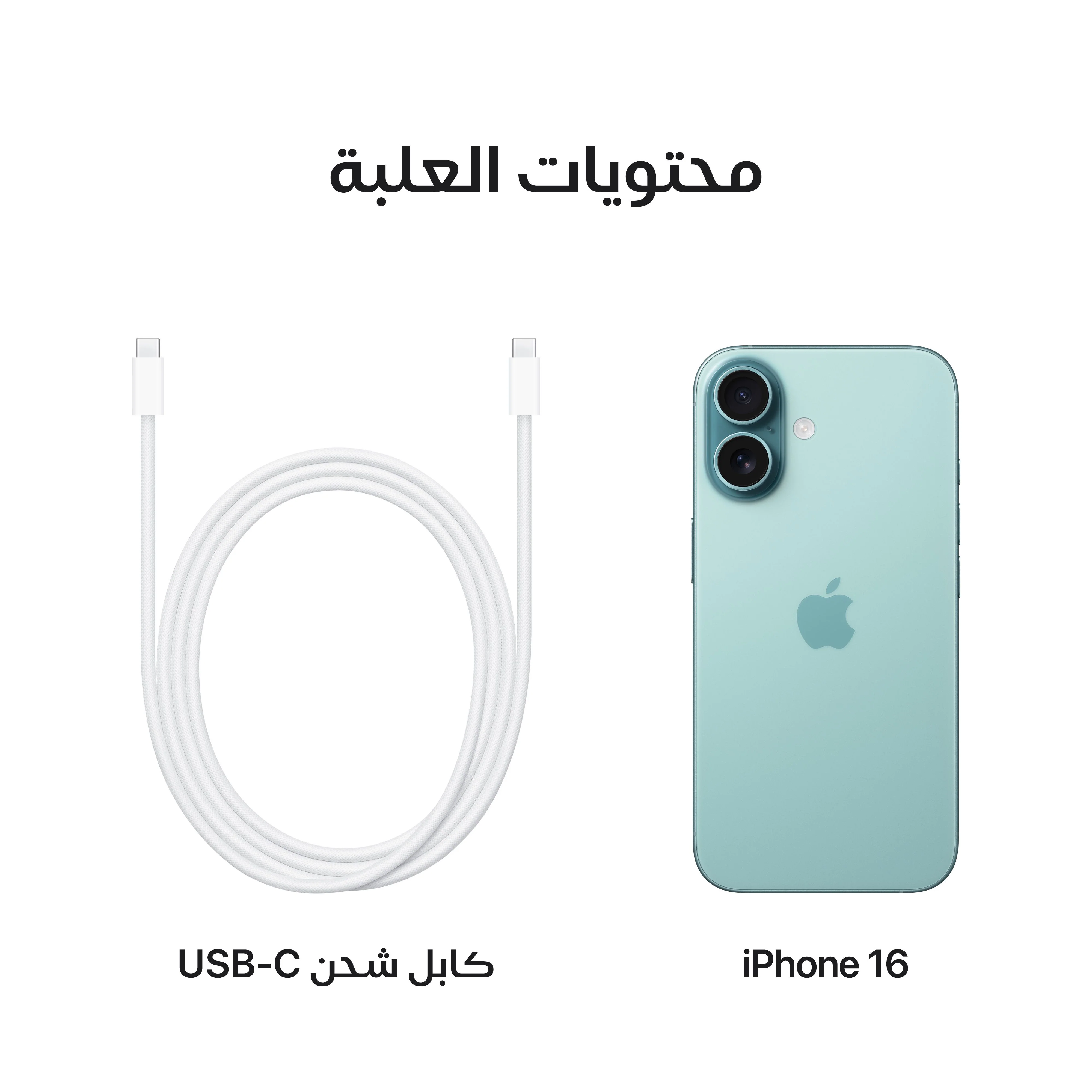 iPhone 16 من Apple (سعة تخزين 128GB) - أزرق مخضر - Image 9