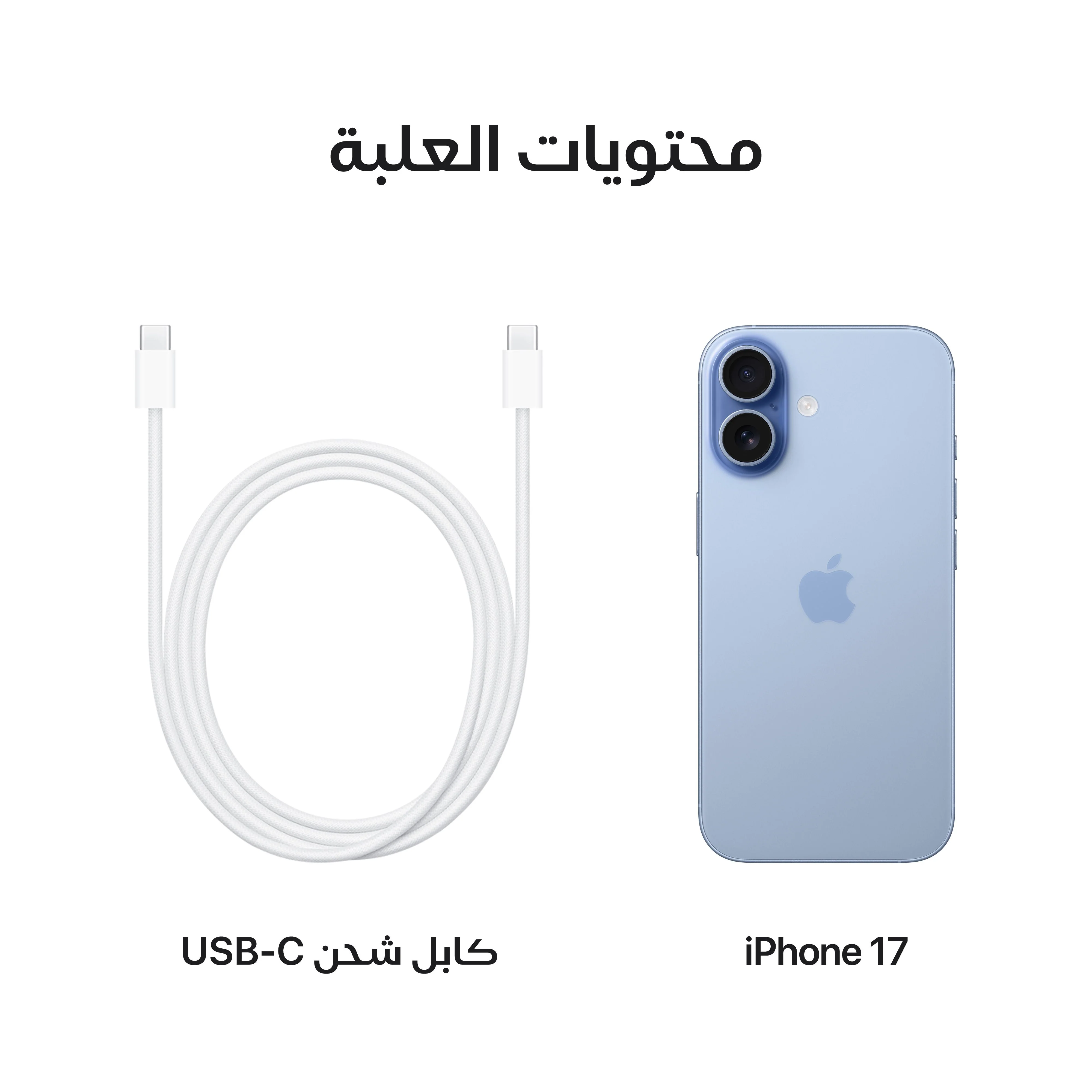 iPhone 17 من Apple (سعة تخزين 256GB) - أزرق ضبابي - Image 8