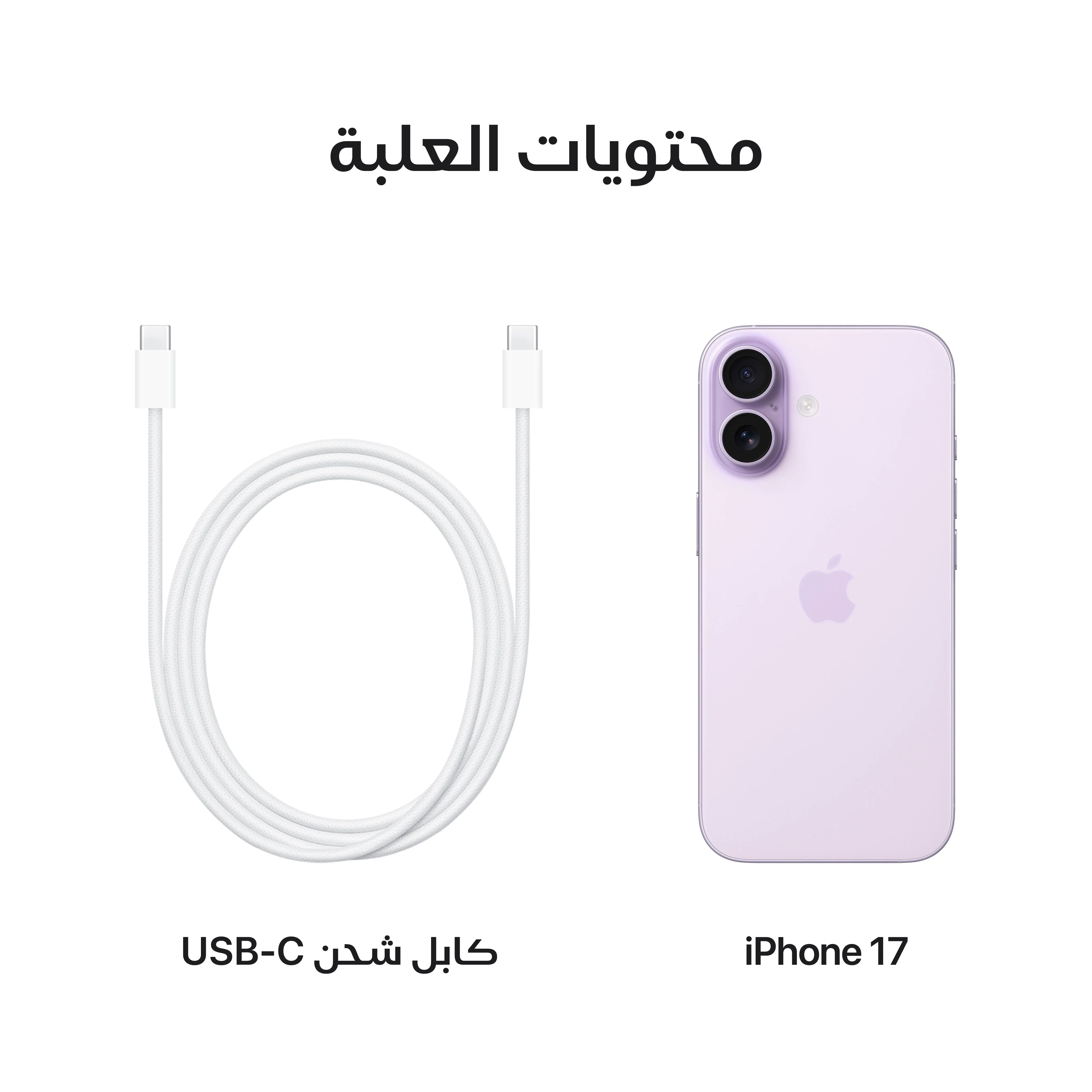 iPhone 17 من Apple (سعة تخزين 256GB) - خزامي - Image 8