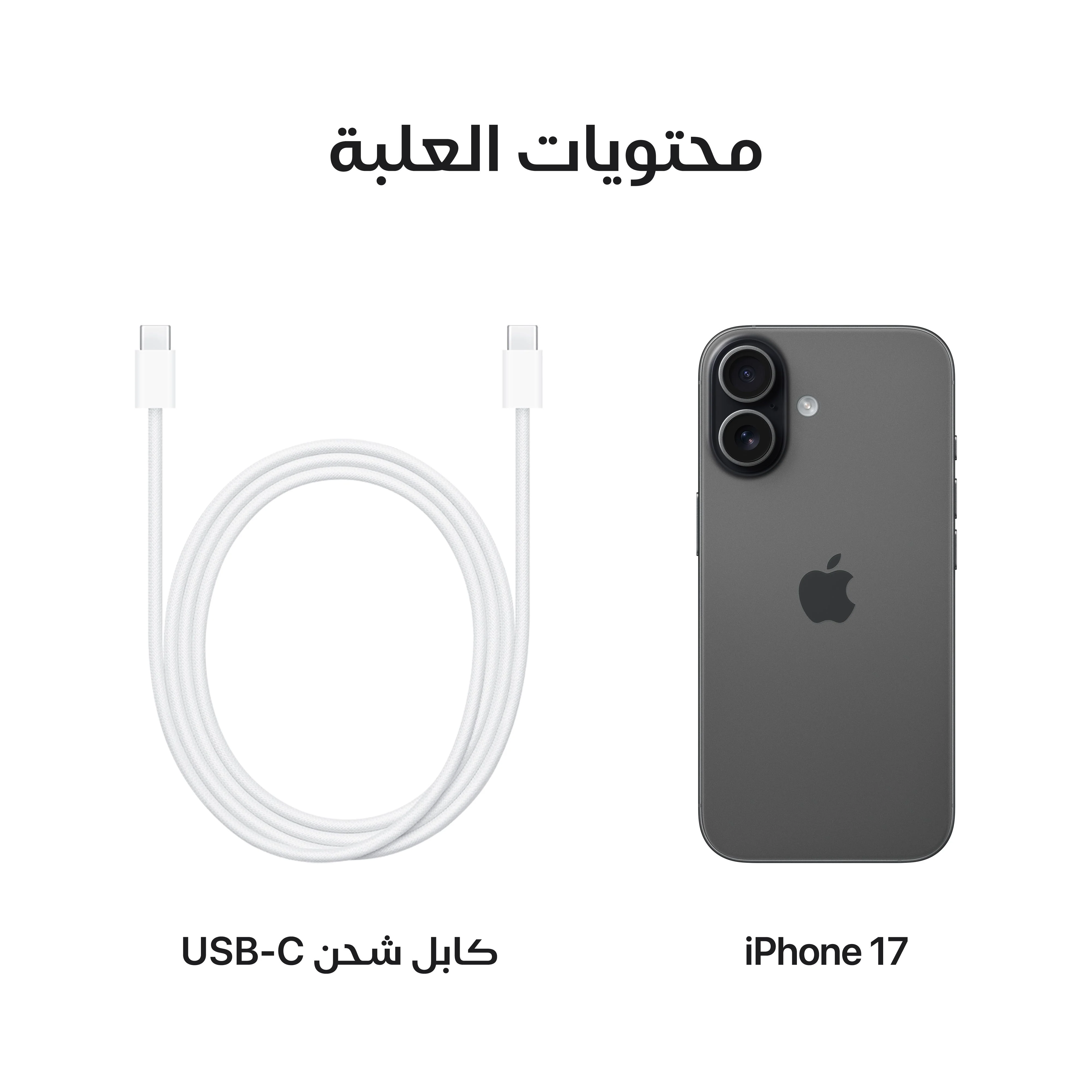 iPhone 17 من Apple (سعة تخزين 512GB) - أسود - Image 8