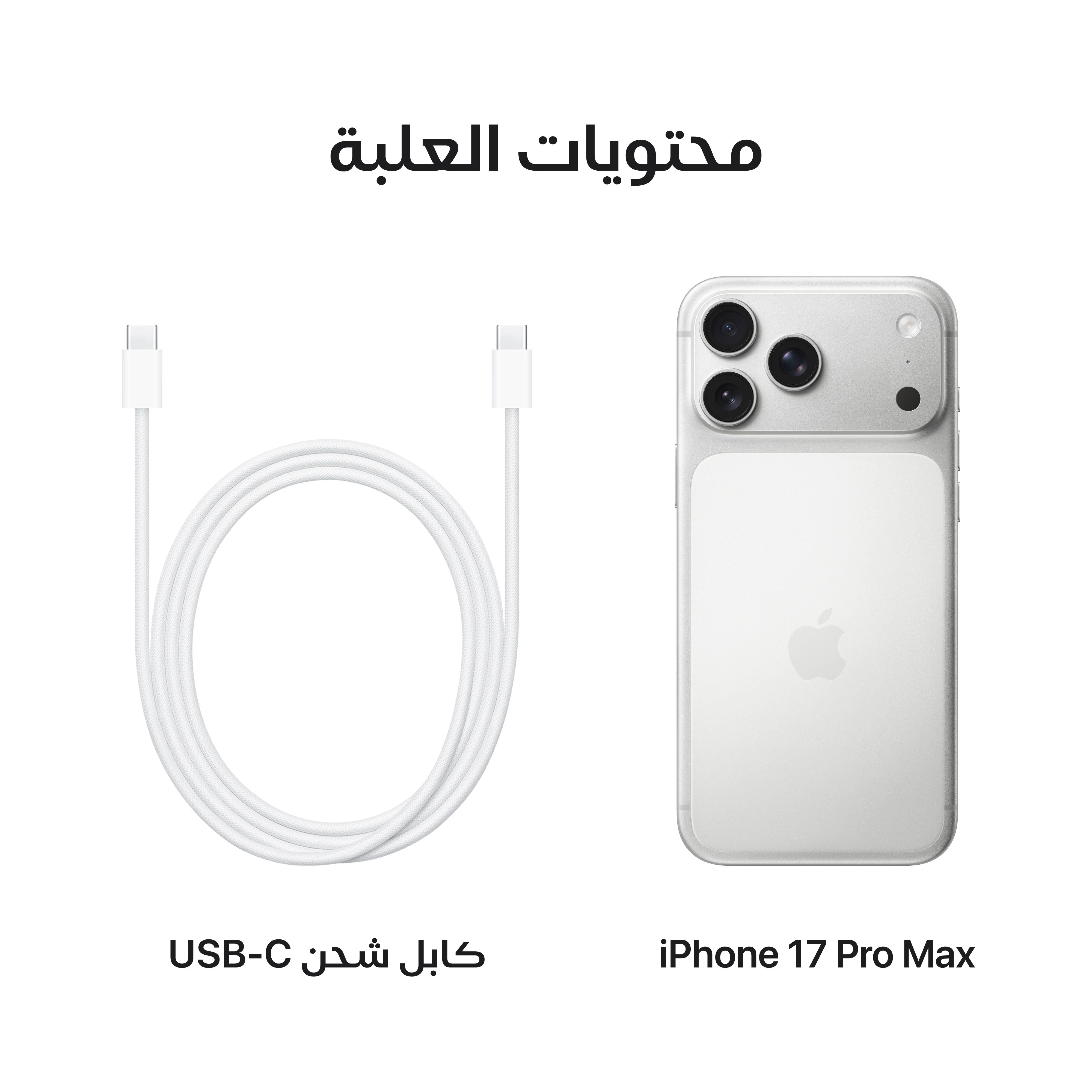 iPhone 17 Pro من Apple (سعة تخزين 1TB) - فضي - Image 8