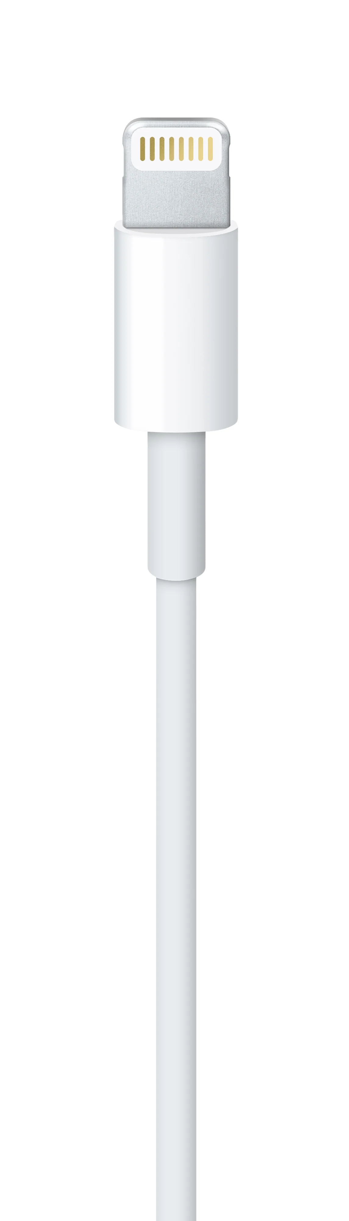 كابل لايتنينغ إلى USB (1م) - Image 3